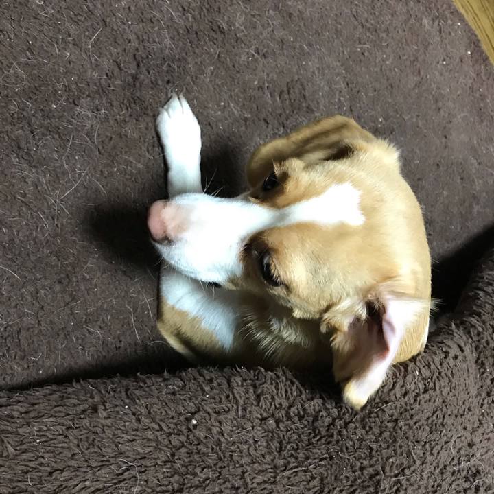 C8b0ffb6 36b1 4e07 beed e89acdc38b37 1544019992850