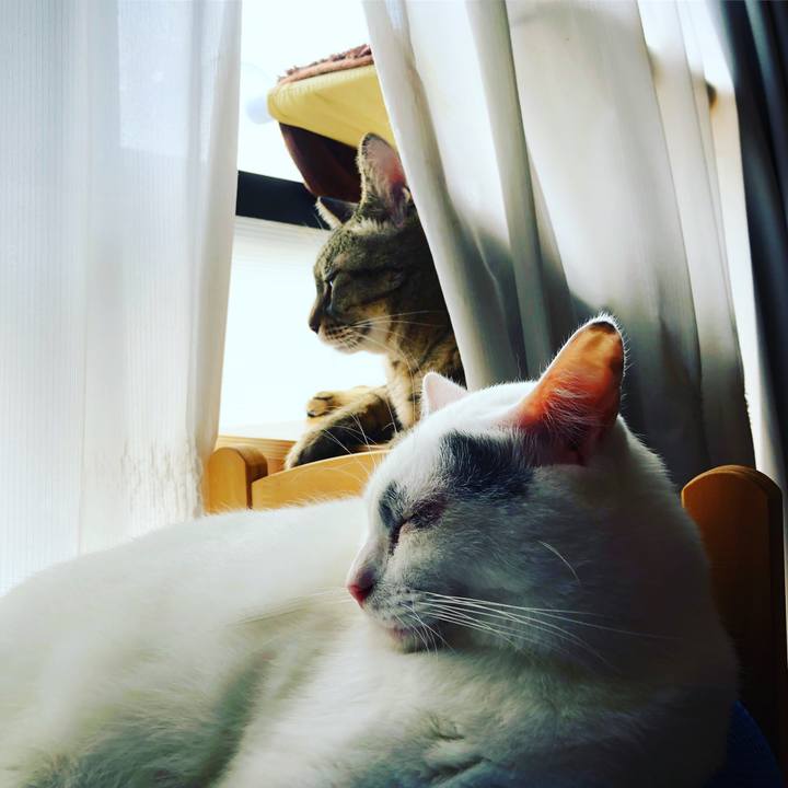 C8b1153a d1a5 4c2c 93dd b37c5fa8c7e7 1552605365481