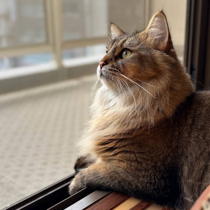 C8b13f7f 8d6e 471c b07f 56b823c6a58d 1758324708523