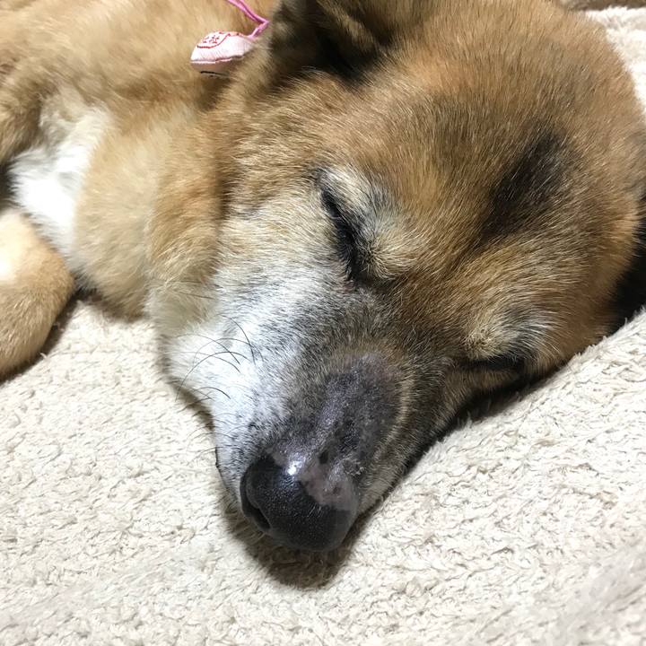 C8b16134 6195 4d4b add8 c123d002d12a 1551368935718