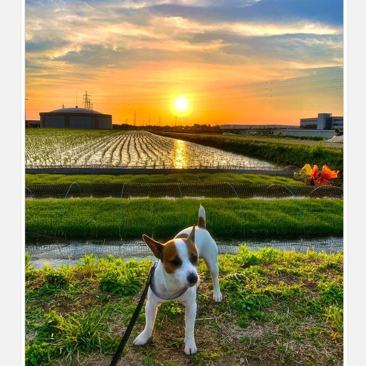 C8b183e1 1160 4226 82b9 1cf44256b5fc 1559124953543