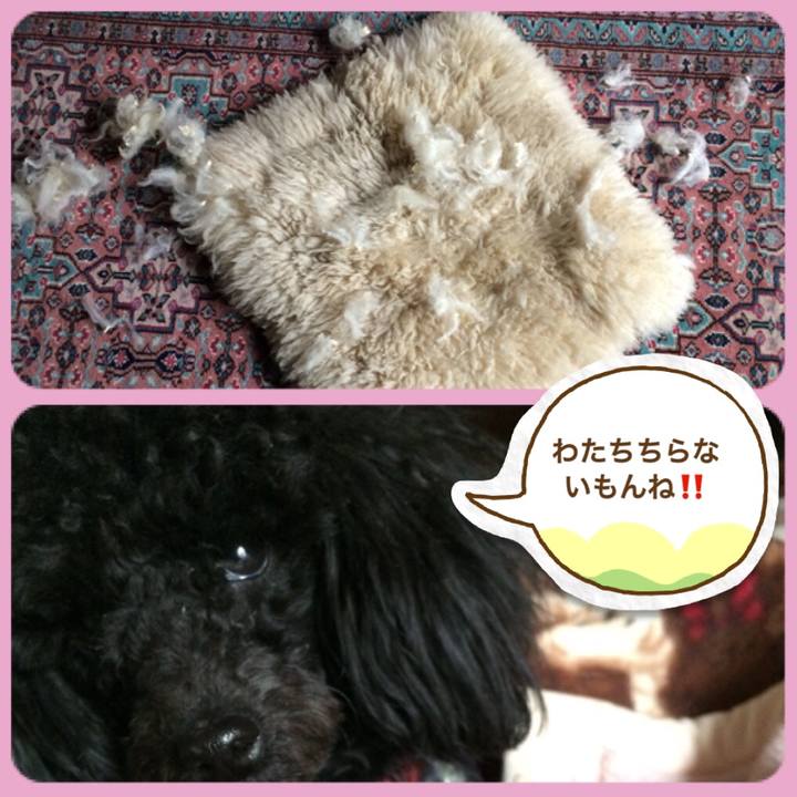 C8b257ed 5134 401b 91b3 d1b598e2f6e9 1519194663277