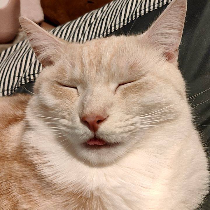 C8b26d9e e4e0 4162 88da 0d622ecb15a6 1674210146163