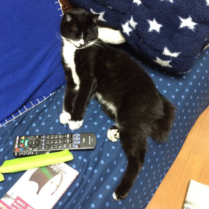 C8b2b4bf fb4b 4dc7 8bd5 b10aa4c04a3e 1516074554889