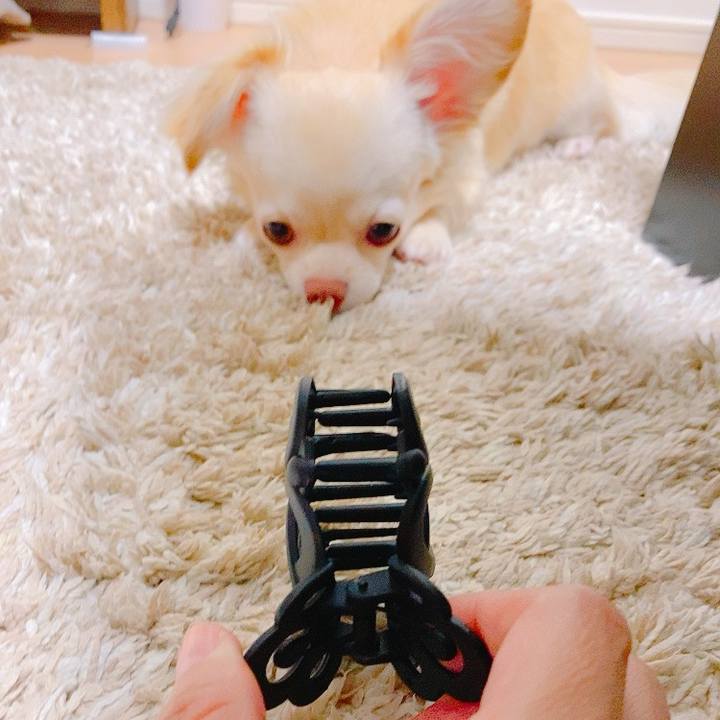 C8b2d5a5 4716 42a1 966a e185debf015c 1631083207924