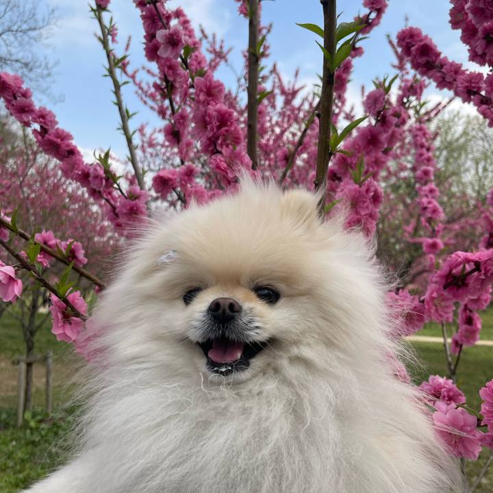 C8b315ae 446b 4b7b a853 1288a499a418 1648684255950