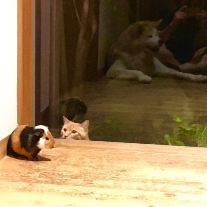 C8b35bc0 2d4c 4bab bc24 18854629b992 1531229490968