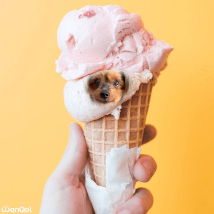 C8b35c74 d70b 4e78 a23d c4cb2ee52284 1640755068718