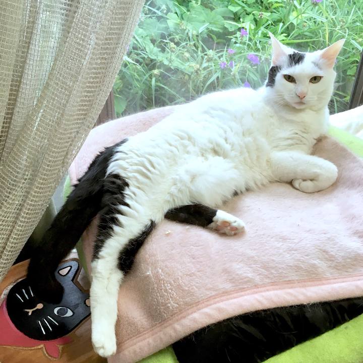 C8b35fa3 b97a 441d b0eb 92e84437f439 1561344479097