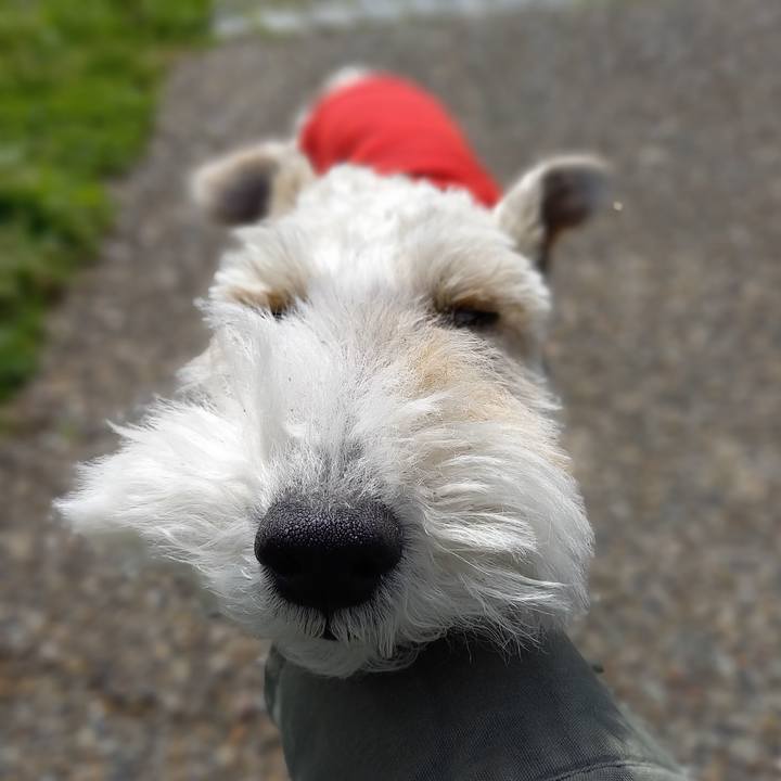 C8b37480 194c 4e2f 9258 29e35001eb40 1619481205693