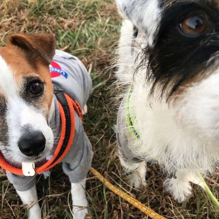 C8b39815 a680 45b1 90ed ad2d252a760e 1540457602154