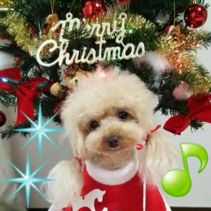 C8b3ca2d 7148 4144 8505 f5956b3bdd3a 1544873451296