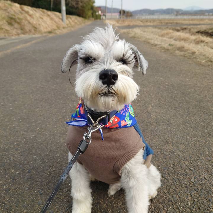 C8b3ca47 4ae4 49a6 89ed 12e446d4d6d9 1768815854116