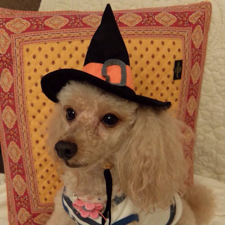 C8b3f0ee fc12 4083 91ca bf3b84994694 1509371623803