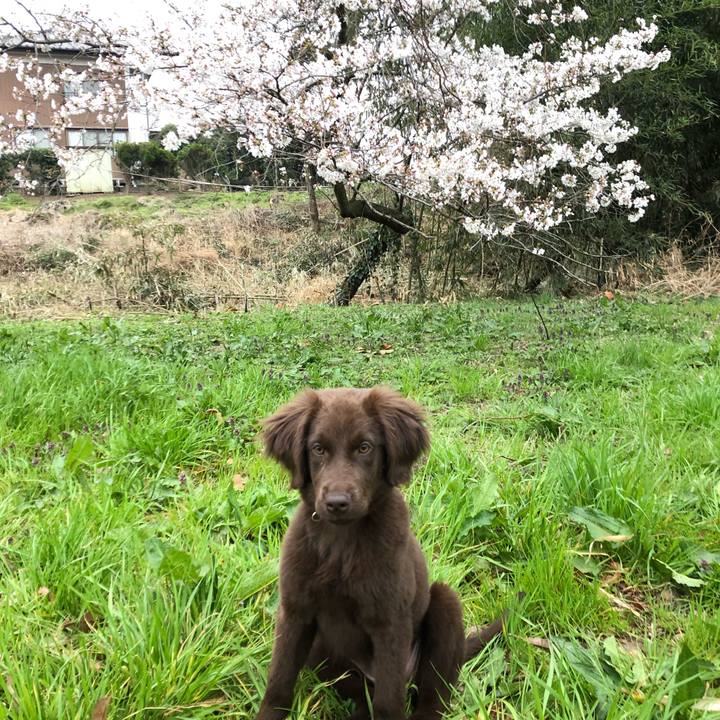 C8b3fddd b7ad 441c bbfe 13bfaaeeadfc 1553898483630