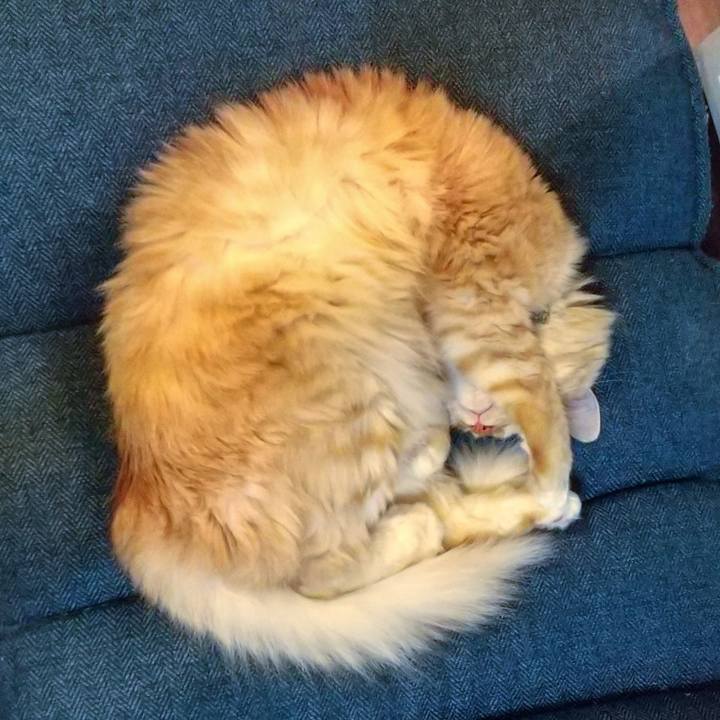 C8b4011c d42b 4f7b bef2 8f1f917cd7db 1638884763556