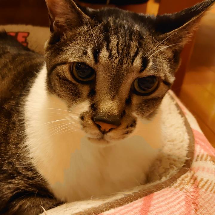 C8b45867 824a 4adb bf9f 17209bced779 1748739188376