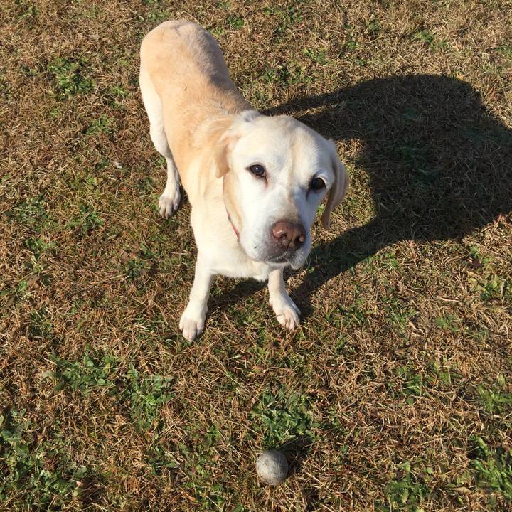 C8b4593e 4595 406c 9ff3 262b9808bba0 1545188311546