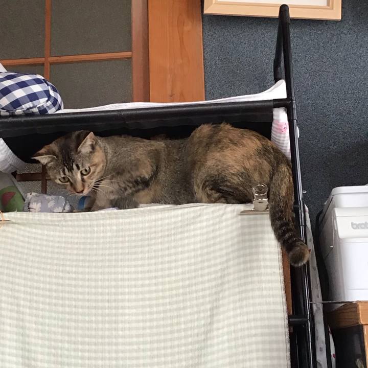 C8b46576 734e 49f2 afff 56a571cfa68d 1576373272196