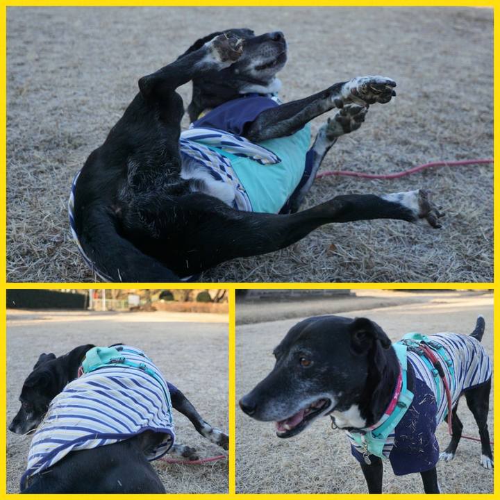 C8b46ca0 d54a 4edc a1aa cb0fcda66221 1769993424919