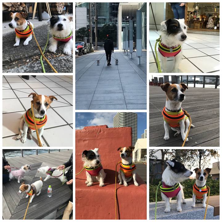 C8b4b44b 5fc5 42c2 bdc5 e8d22ec7bc0d 1512197138592