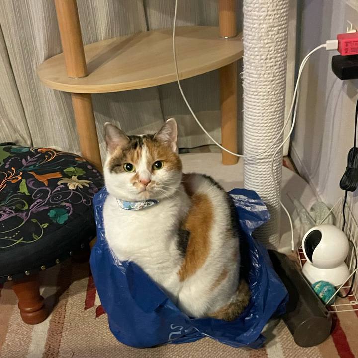 C8b4f372 5603 4dc4 99e4 a31603dadd17 1700490318188