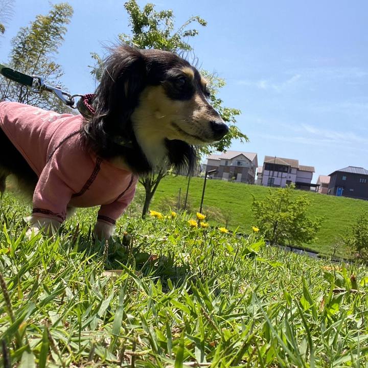 C8b503fd 631b 4633 acca 14f685a1331c 1745729811207