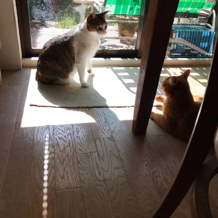 C8b535b2 0af6 4e31 b765 b037cd7a5357 1509165004401