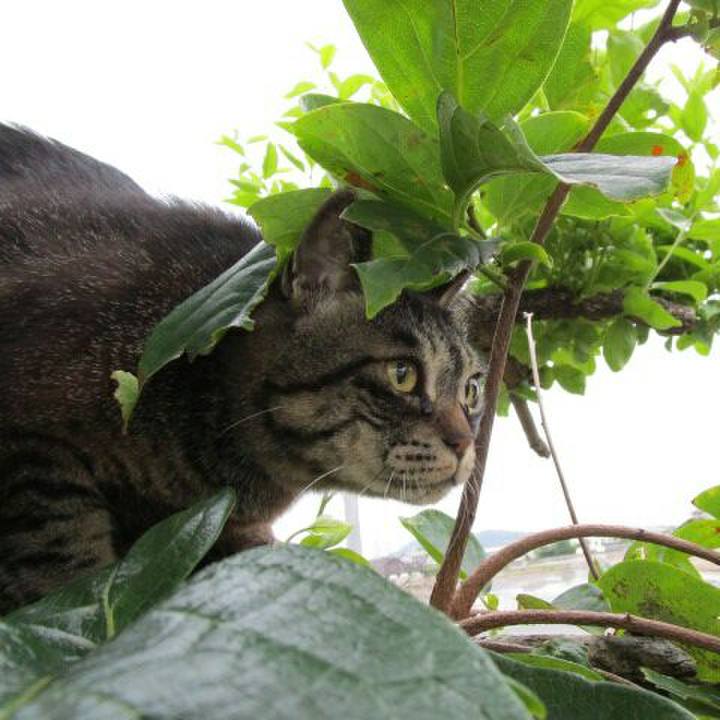 C8b54d0a 1eb1 477e 9acf 18b3d0de56b9 1559886483230