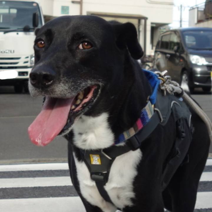 C8b56874 c431 4b3b 83ba 32302e5cbcae 1658876916854