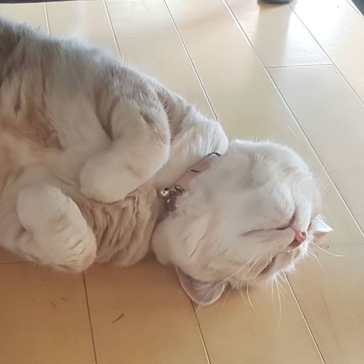 C8b58804 be6f 4835 aec4 5b94fa6fd258 1569464309153