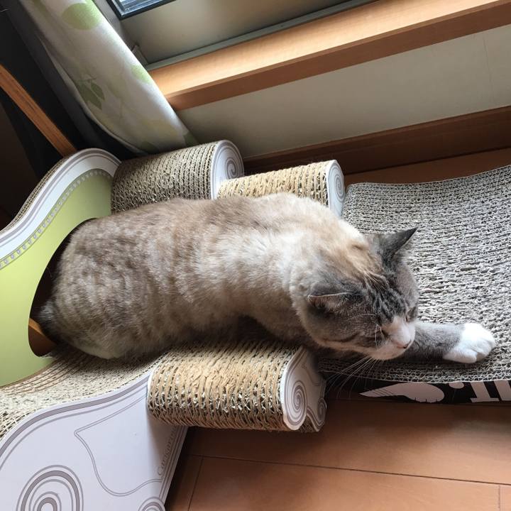 C8b58a25 341f 48d7 9c91 0f3566caab82 1554616840448