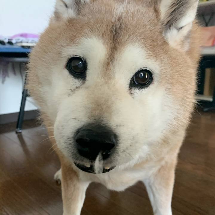 C8b5aa5d 99f9 4b18 b82c f0b3b79d1257 1644115151066