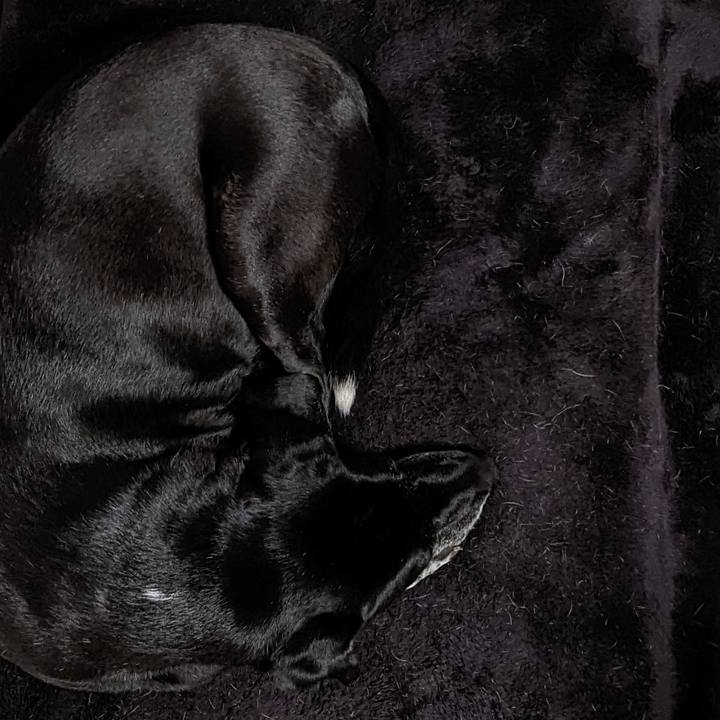 C8b5c55f 2473 4185 83e0 b96917b9823b 1704107163378