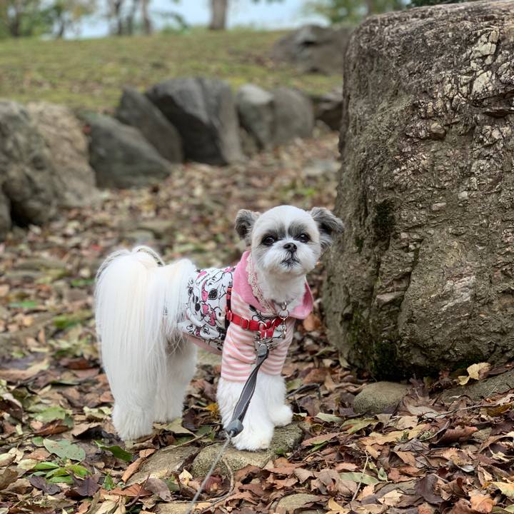 C8b5cfcb c653 477f 859b ab9149cf2e94 1571294444399