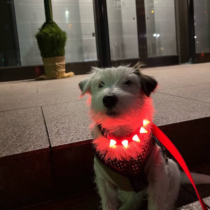 C8b5f114 530c 4f91 8e86 479697cb8479 1767193771817