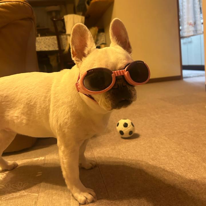 C8b62297 3a3f 4188 af8e b91e63e5fd27 1760318343511