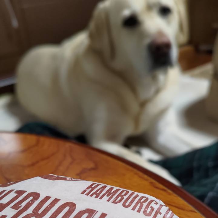 C8b6670d ab50 42f5 87f6 776de7172b63 1674570829540