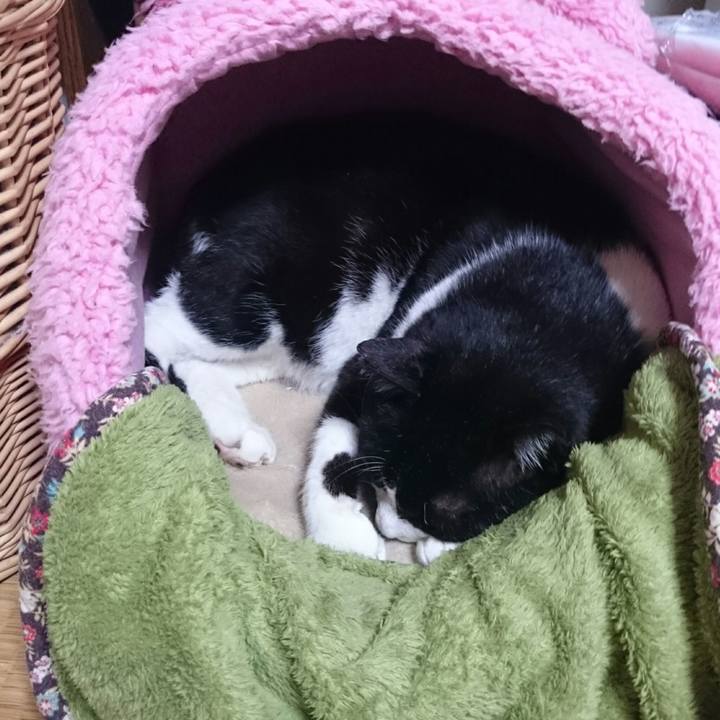 C8b671ae 4537 44c6 b17b 08113eb5a5a3 1525923882490