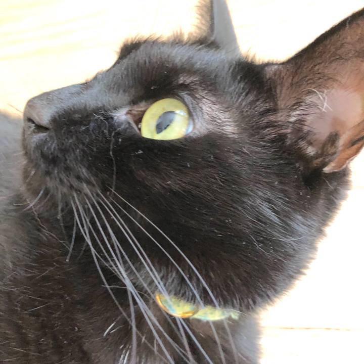 C8b687e2 5442 49db 9353 48ad91b9277a 1558140276094