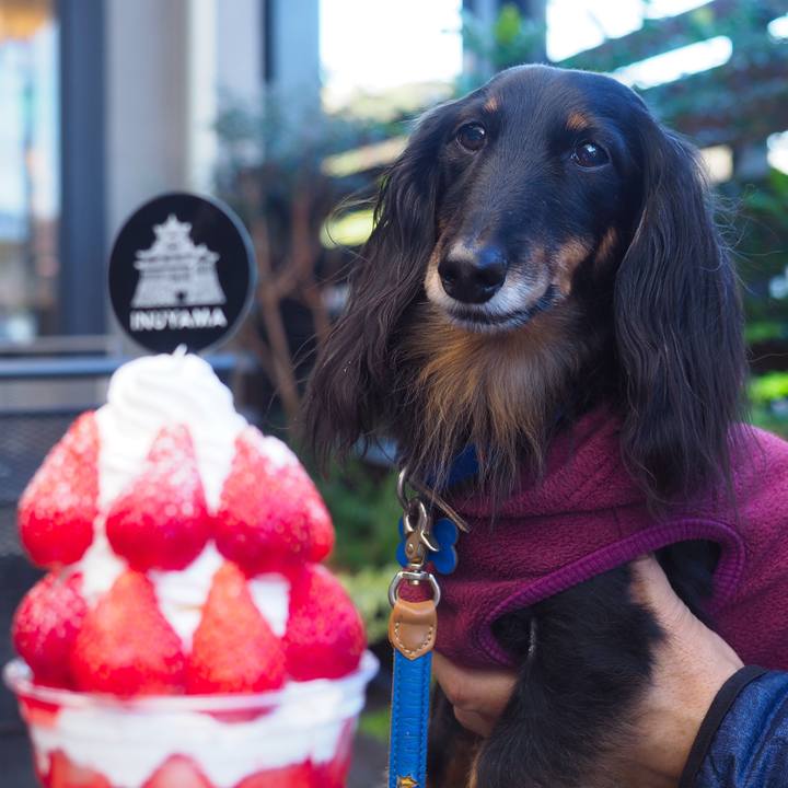 C8b6b71e 8452 4a50 bb58 733e5c2a5aac 1735871997367