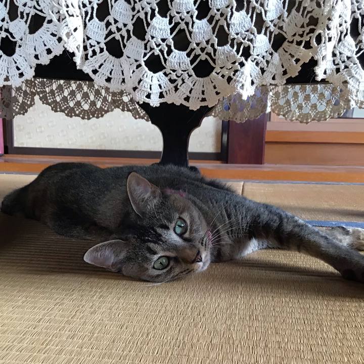 C8b6bef5 2e29 4383 9505 ebec8f760502 1595304704493