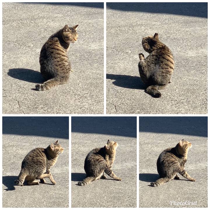 C8b6c3b4 9a05 4f32 b374 4895584cc94d 1550046749083