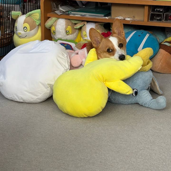 C8b6db2b 8877 42bd 9b7a 2b2356589f9e 1762217045374