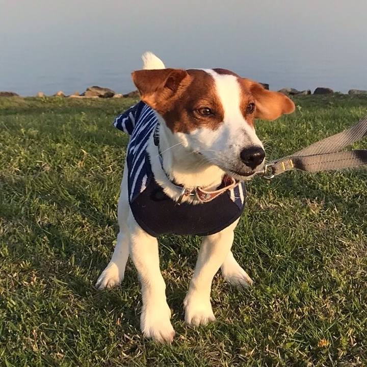 C8b72734 2e3f 4f14 8676 55944352b7c4 1527194525422