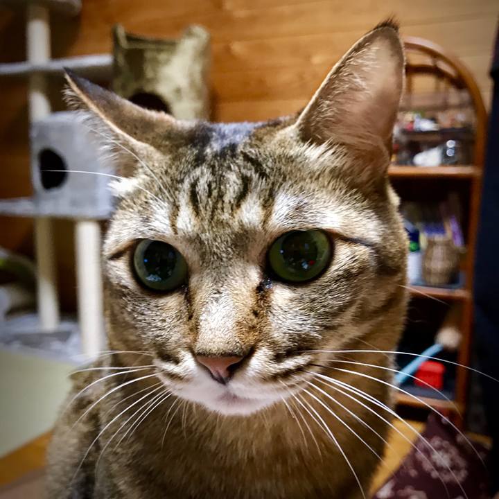 C8b746dd 7808 4192 9ef9 ea0a1c443b6b 1519479177353