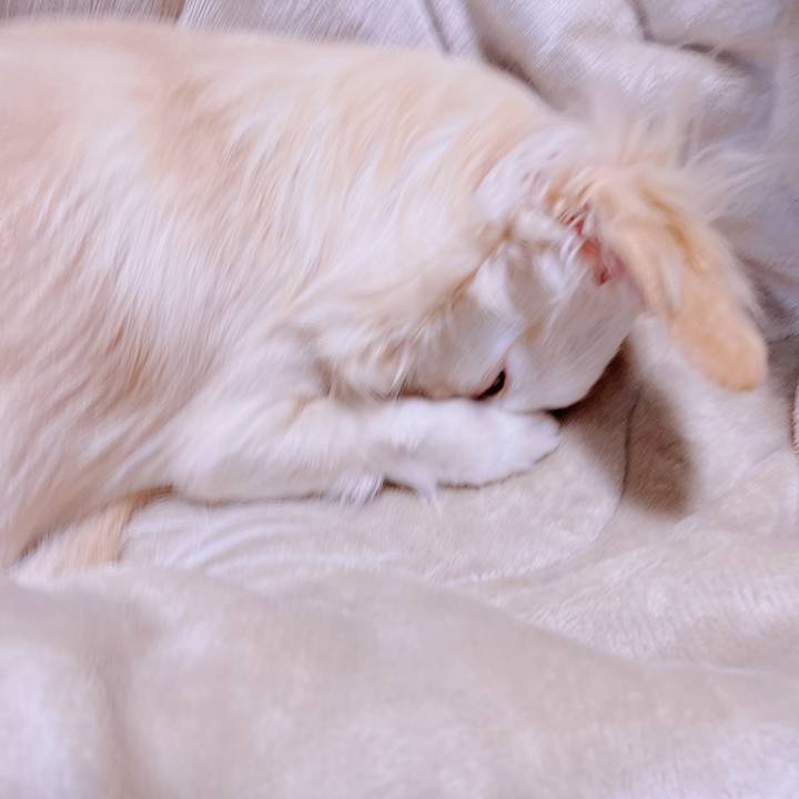 C8b75261 dd7f 4e56 abe4 de968e627357 1678455359542