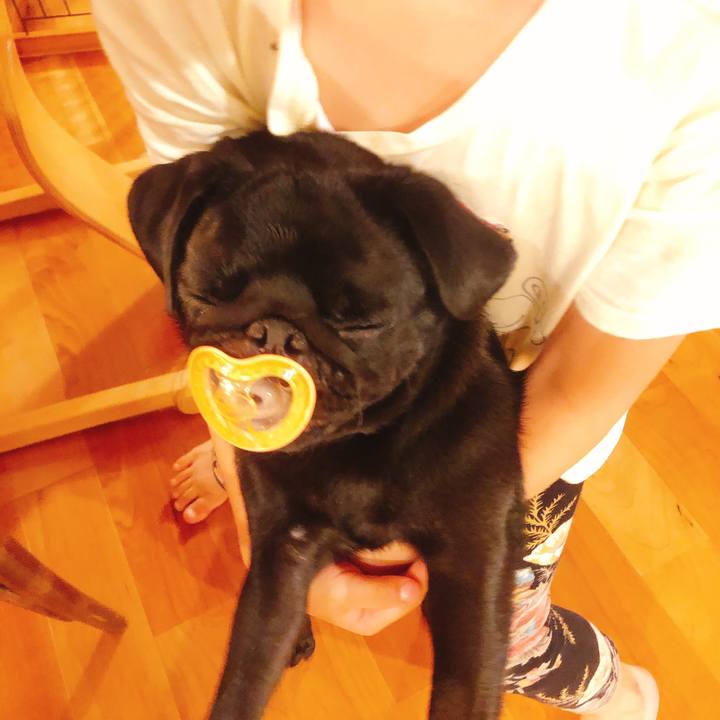 C8b7527e 8c6b 4a75 9808 9088818159fd 1599604385322