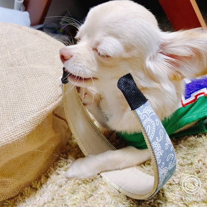 C8b76fae 155e 4b23 a8f8 ae12f02dd4e8 1599206803307