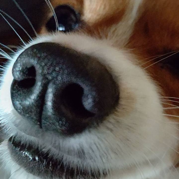 C8b79623 5f21 4fa9 b11e 06938231c94e 1639890494088